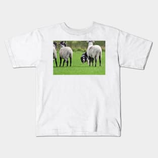 Working Sheepdog Kids T-Shirt